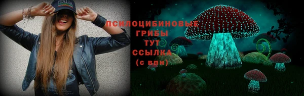 трава Балахна