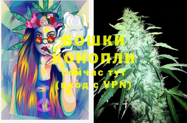 винт Баксан